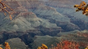 Grand Canyon South Rim Landscape Grand Canyon South Rim landscape viewed from a scenic overlook