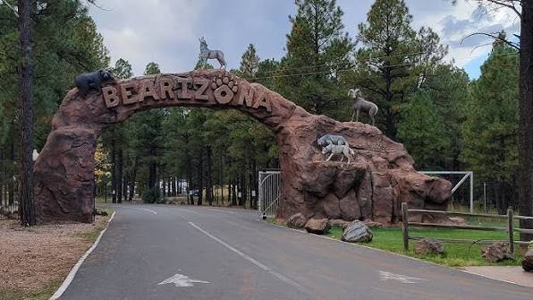 Bearizona Wildlife Park in Williams Arizona